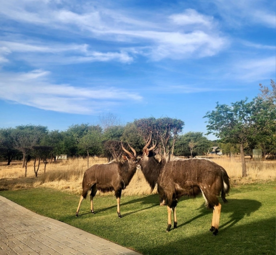 3 Bedroom Property for Sale in Wilkoppies North West